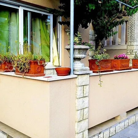 Zoro Apartment Palit
