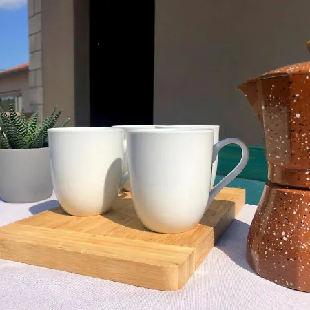 Zoro New Translation